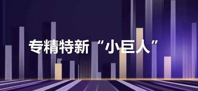 專(zhuan) 精特新小巨人