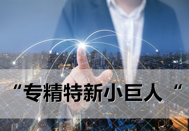 專(zhuan) 精特新小巨人.jpg