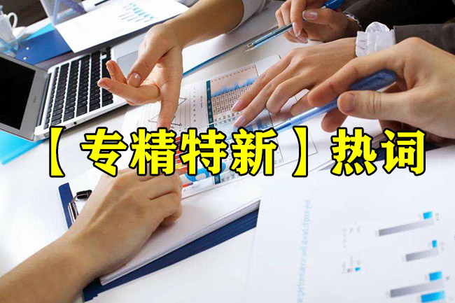 專(zhuan) 精特新熱詞