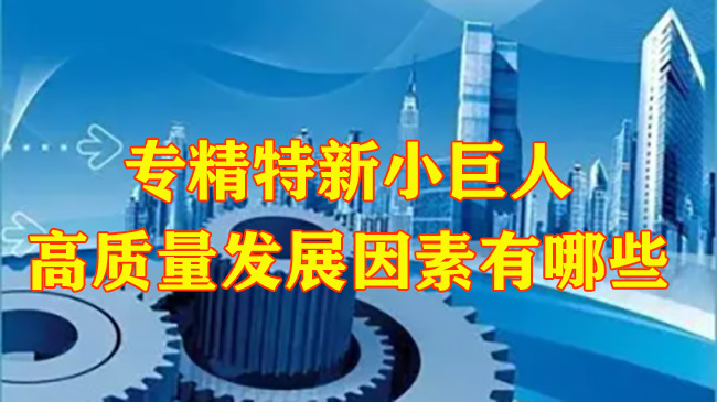 專(zhuan) 精特新小巨人高質量發展因素有哪些
