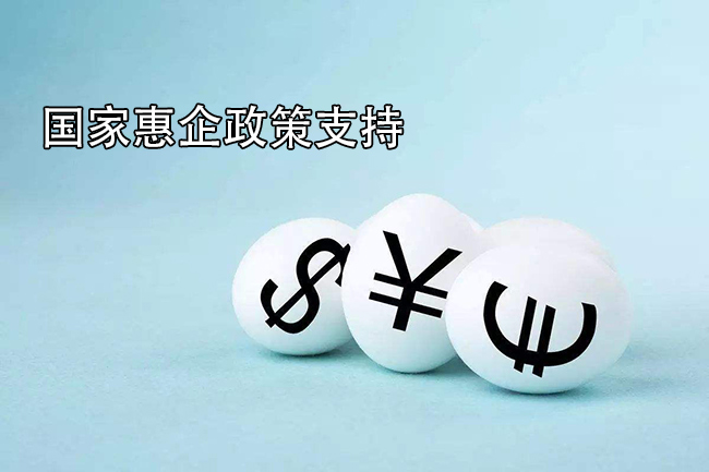 國家惠企政策支持