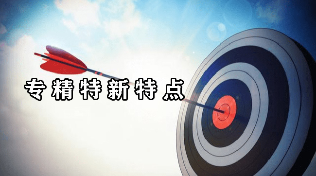 專(zhuan) 精特新特點