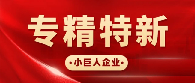 第五批國家級小巨人推薦指標概覽及申報要點.jpg