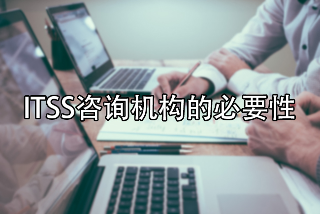ITSS谘詢機構的必要性