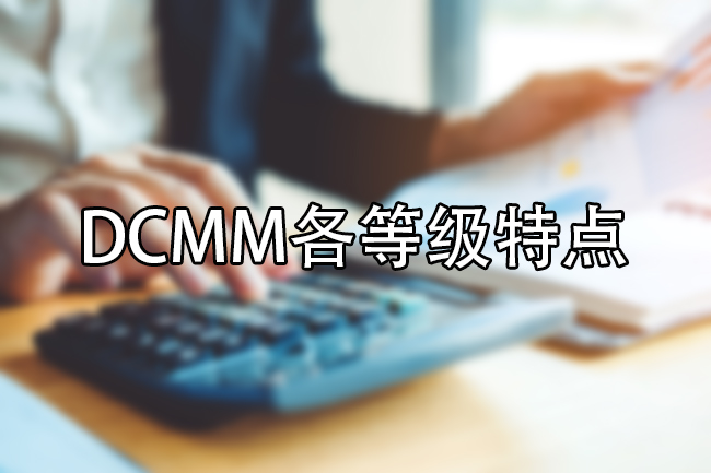 DCMM各等級特點