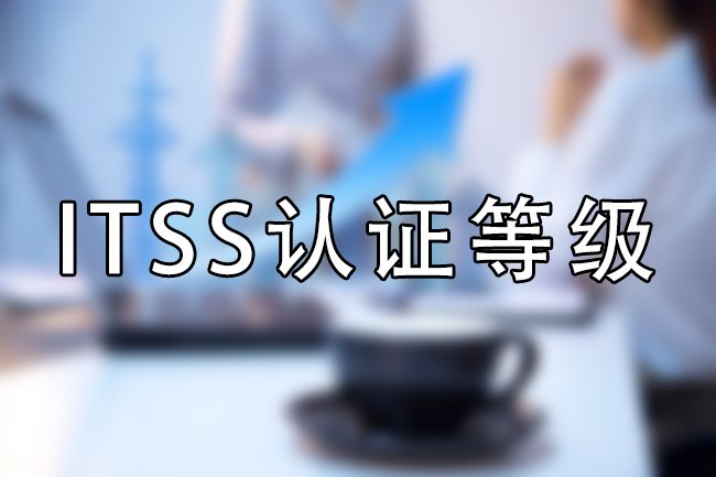 ITSS認證等級