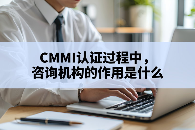 CMMI認證過程，谘詢機構的作用是什麽(me) .jpg