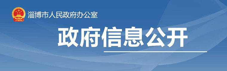2021-01-17 | 山東(dong) 淄博CMMI補貼政策(圖1)